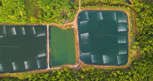 EKOBI Plan de transformación hacia eco-parques industriales a través de simbiosis industrial en la comarca de Bidasoa